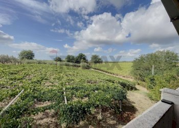 Giardino - Casa indipendente Rocca San Giovanni - foto 46