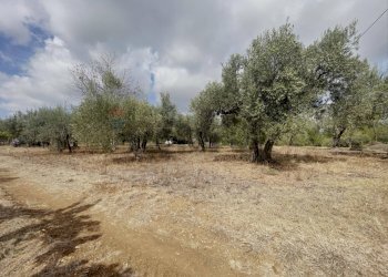 Giardino - Casa indipendente Rocca San Giovanni - foto 57