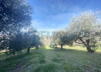 Giardino - Casa indipendente Roccamontepiano - foto 84