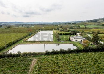 Vista delle montagne - Locale Commerciale Casalbordino - foto 15