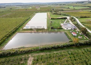 Casa all\'aperto - Locale Commerciale Casalbordino - foto 16