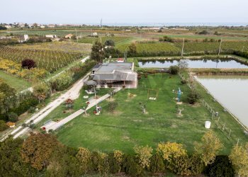 Edificio all\'aperto - Locale Commerciale Casalbordino - foto 20