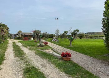 Giardino - Locale Commerciale Casalbordino - foto 21