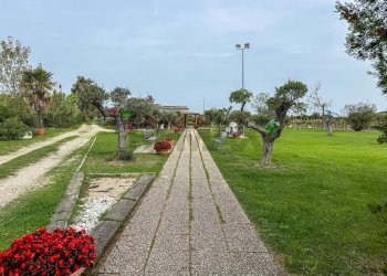 Giardino - Locale Commerciale Casalbordino - foto 22