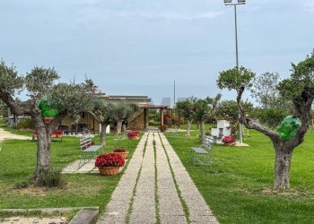 Giardino - Locale Commerciale Casalbordino - foto 23