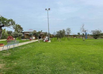 Giardino - Locale Commerciale Casalbordino - foto 25