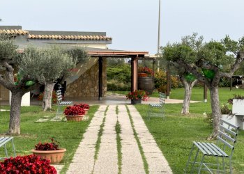 Giardino - Locale Commerciale Casalbordino - foto 26