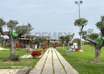 Giardino - Locale Commerciale Casalbordino - foto 27