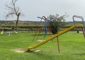 Giardino - Locale Commerciale Casalbordino - foto 34