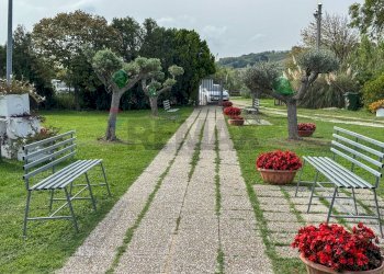 Giardino - Locale Commerciale Casalbordino - foto 35