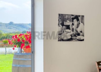 Dettagli - Locale Commerciale Casalbordino - foto 60