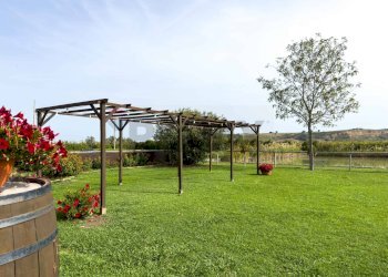 Giardino - Locale Commerciale Casalbordino - foto 66