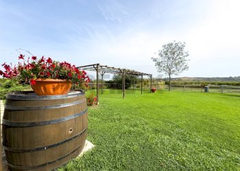 Giardino - Locale Commerciale Casalbordino - foto 67