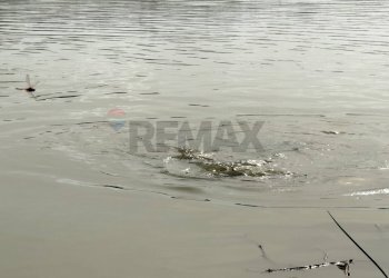 Dettagli - Locale Commerciale Casalbordino - foto 73