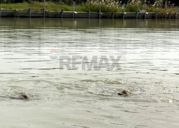 Vista dell\'acqua - Locale Commerciale Casalbordino - foto 75