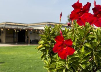 Giardino - Locale Commerciale Casalbordino - foto 82