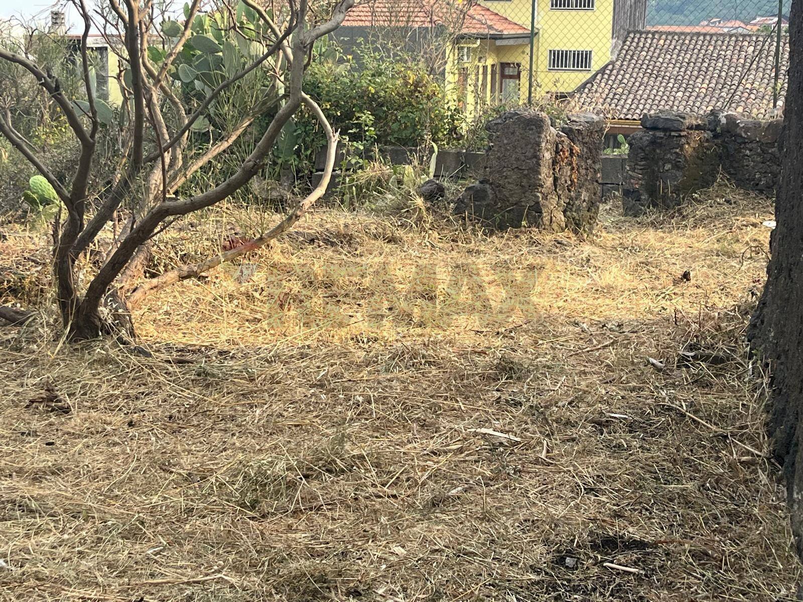 Giardino - Terreno edificabile Via Sciara Ballo
 
53, Zafferana Etnea - foto 3