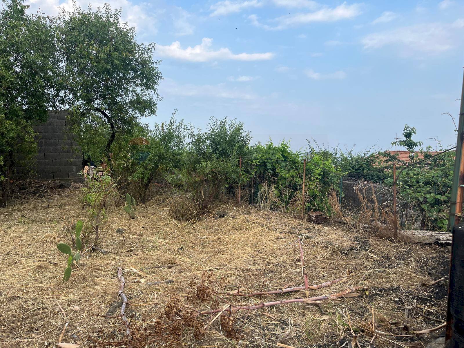 Giardino - Terreno edificabile Via Sciara Ballo
 
53, Zafferana Etnea - foto 1