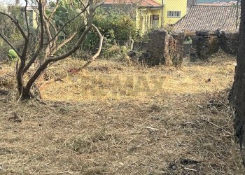 Giardino - Terreno edificabile Via Sciara Ballo
 
53, Zafferana Etnea - foto 3