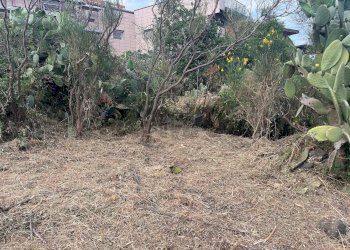 Giardino - Terreno edificabile Via Sciara Ballo
 
53, Zafferana Etnea - foto 9