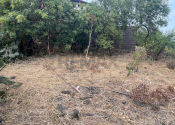 Giardino - Terreno edificabile Via Sciara Ballo
 
53, Zafferana Etnea - foto 11