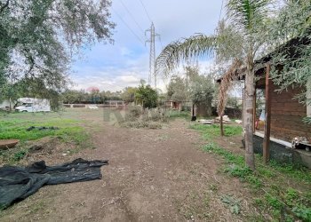 Giardino - Terreno agricolo strada comunale Muscalora
 
26, Misterbianco - foto 9