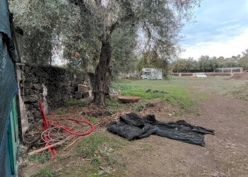 Giardino - Terreno agricolo strada comunale Muscalora
 
26, Misterbianco - foto 10