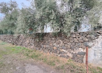 Giardino - Terreno agricolo strada comunale Muscalora
 
26, Misterbianco - foto 11