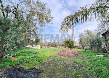 Giardino - Terreno agricolo strada comunale Muscalora
 
26, Misterbianco - foto 15