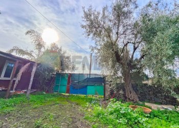 Giardino - Terreno agricolo strada comunale Muscalora
 
26, Misterbianco - foto 16