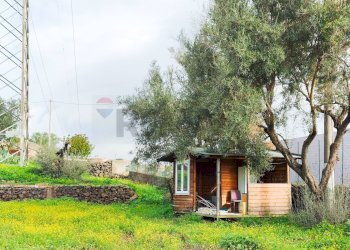 Giardino - Terreno agricolo strada comunale Muscalora
 
26, Misterbianco - foto 17