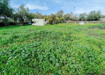 Giardino - Terreno agricolo strada comunale Muscalora
 
26, Misterbianco - foto 18