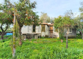 Giardino - Terreno agricolo strada comunale Muscalora
 
26, Misterbianco - foto 19