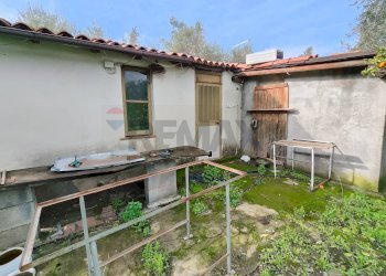 Giardino - Terreno agricolo strada comunale Muscalora
 
26, Misterbianco - foto 20