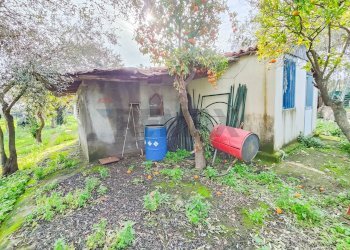 Giardino - Terreno agricolo strada comunale Muscalora
 
26, Misterbianco - foto 36