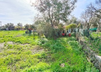 Giardino - Terreno agricolo strada comunale Muscalora
 
26, Misterbianco - foto 37