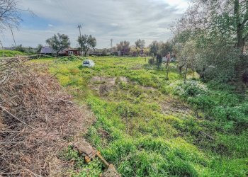 Giardino - Terreno agricolo strada comunale Muscalora
 
26, Misterbianco - foto 38