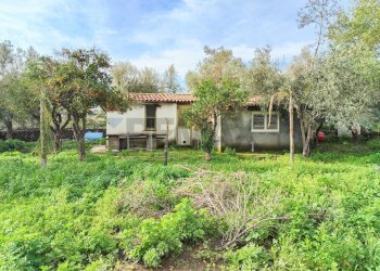 Giardino - Terreno agricolo strada comunale Muscalora
 
26, Misterbianco - foto 41