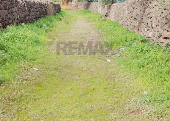 Giardino - Terreno agricolo strada comunale Muscalora
 
26, Misterbianco - foto 43