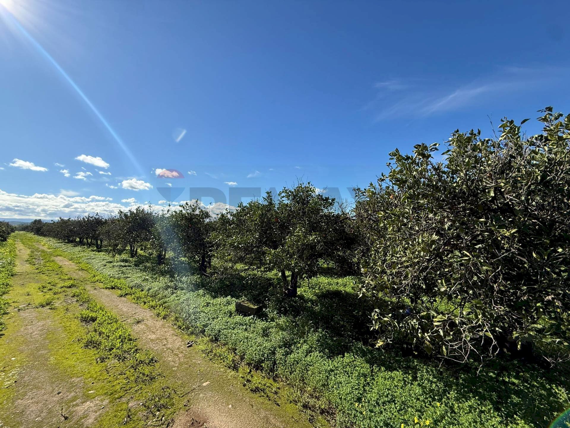 Vista delle montagne - Terreno agricolo Contrada Reina
snc, Belpasso - foto 2