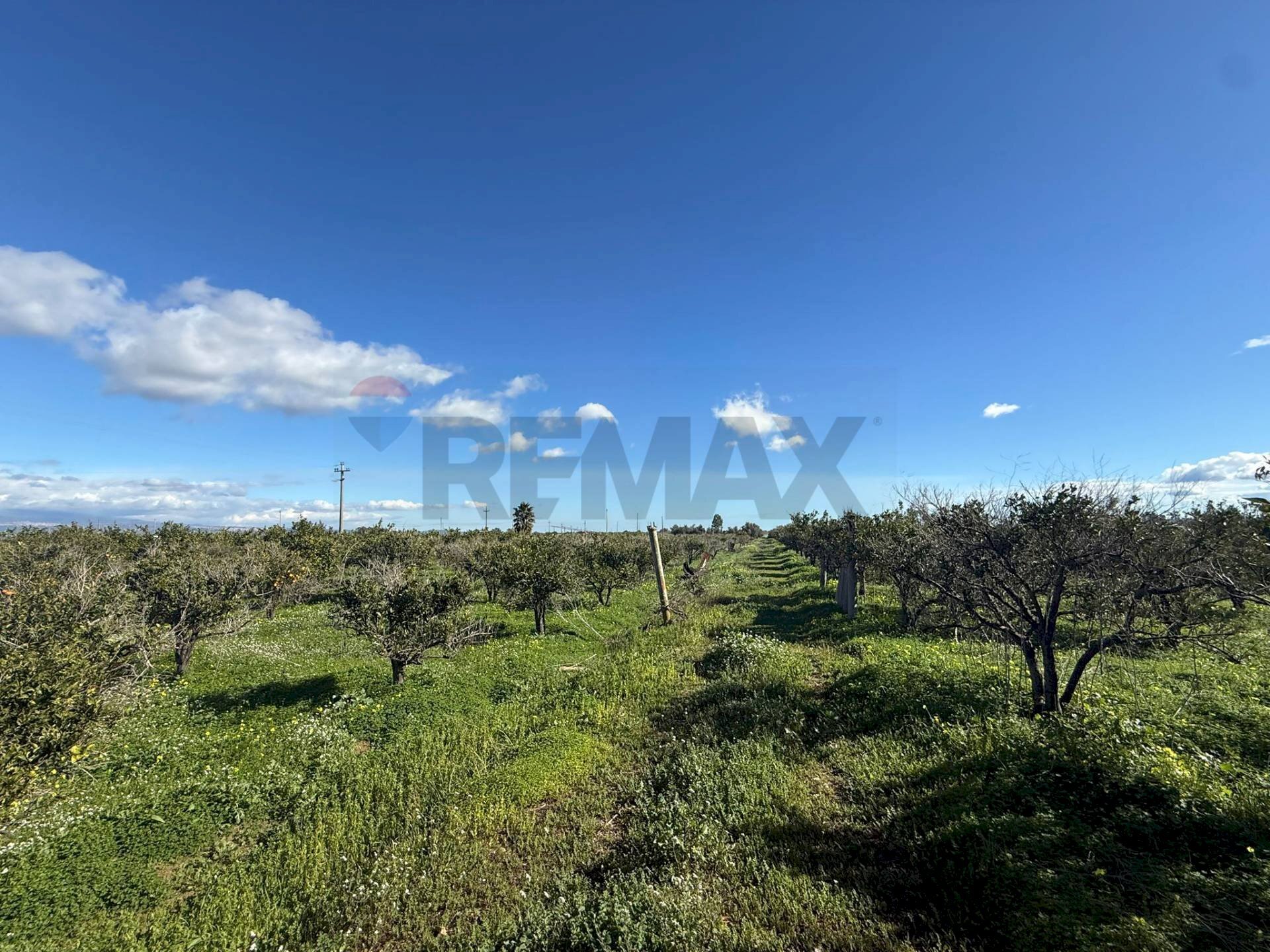 Vista delle montagne - Terreno agricolo Contrada Reina
snc, Belpasso - foto 3