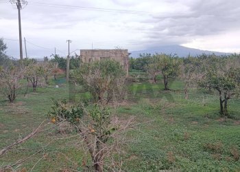 Giardino - Terreno agricolo Contrada Reina
 
snc, Belpasso - foto 6