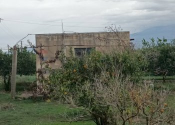 Giardino - Terreno agricolo Contrada Reina
 
snc, Belpasso - foto 8