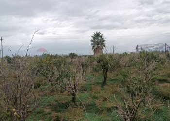 Edificio all\'aperto - Terreno agricolo Contrada Reina
 
snc, Belpasso - foto 13