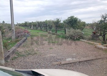 Giardino - Terreno agricolo Contrada Reina
 
snc, Belpasso - foto 19