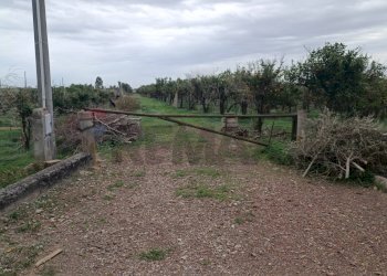 Giardino - Terreno agricolo Contrada Reina
 
snc, Belpasso - foto 20