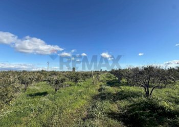 Vista delle montagne - Terreno agricolo Contrada Reina
 
snc, Belpasso - foto 3
