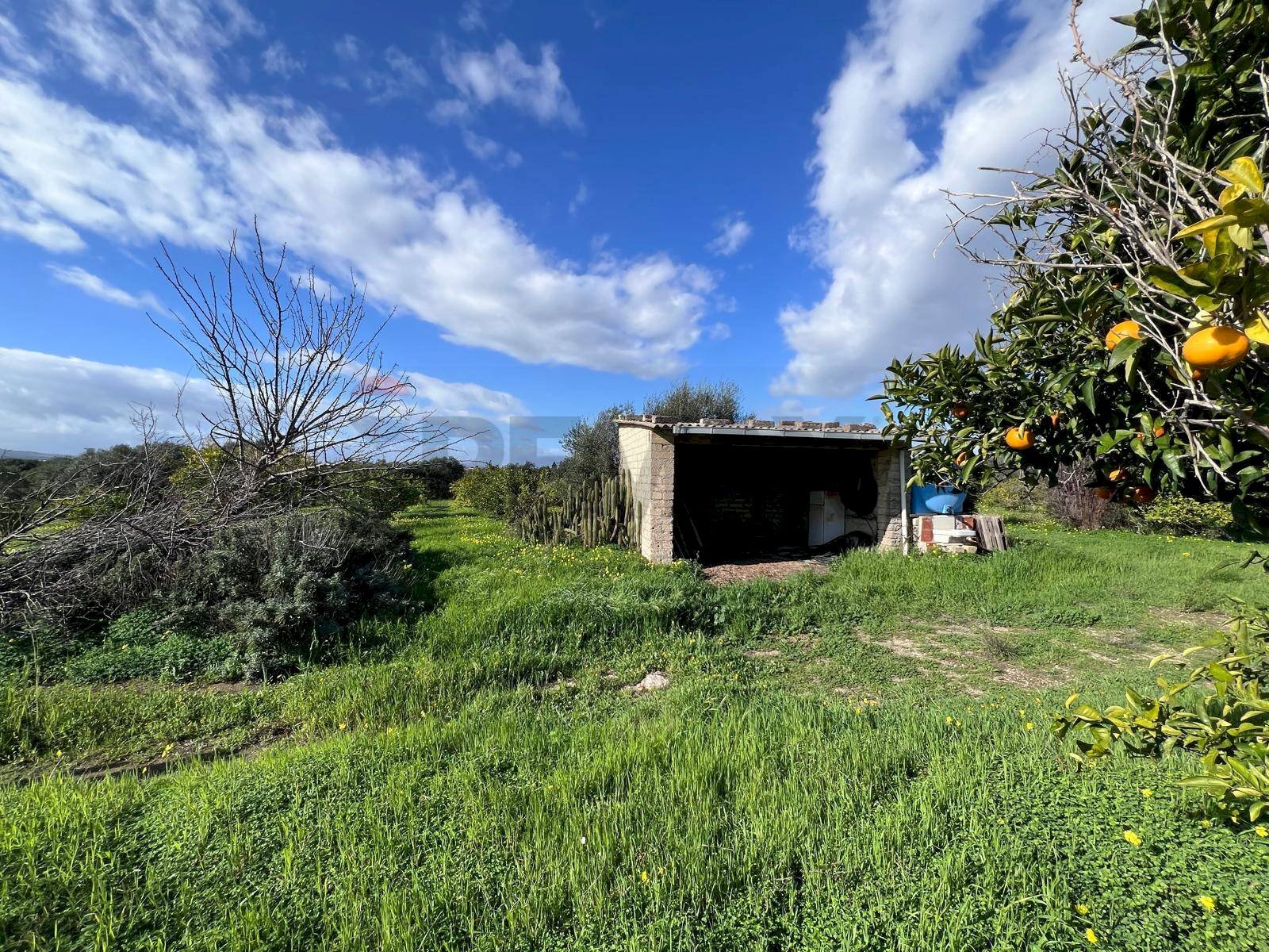 Giardino - Terreno agricolo C.da San Calogero
 
snc, Augusta - foto 2