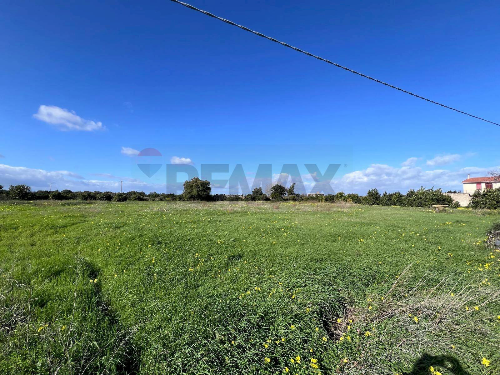 Giardino - Terreno agricolo C.da San Calogero
 
snc, Augusta - foto 3