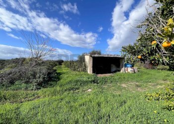 Giardino - Terreno agricolo C.da San Calogero
 
snc, Augusta - foto 2